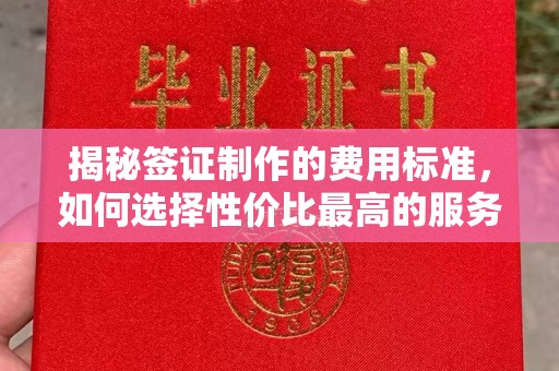 左贡揭秘签证制作的费用标准，如何选择性价比最高的服务？