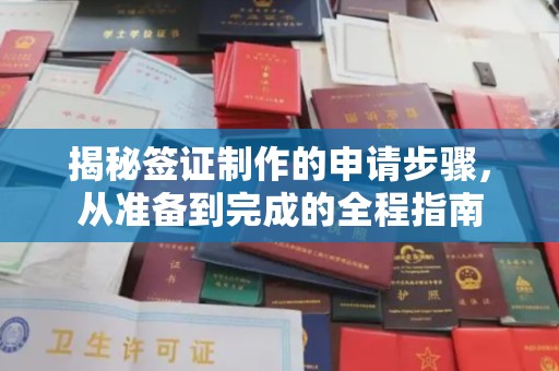 左贡揭秘签证制作的申请步骤，从准备到完成的全程指南
