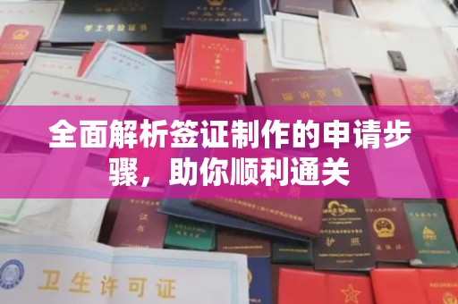 左贡全面解析签证制作的申请步骤，助你顺利通关