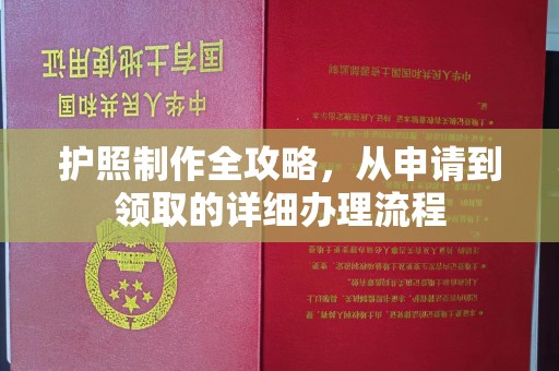 左贡护照制作全攻略，从申请到领取的详细办理流程